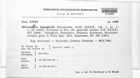 Image Associated With the Occurence